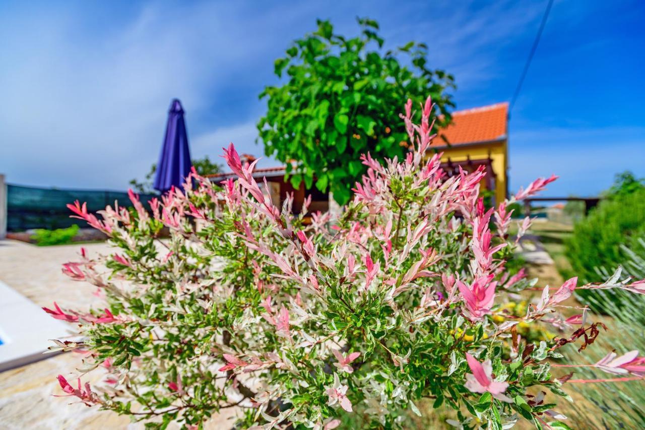 Sunny House Villa Smokovic ภายนอก รูปภาพ
