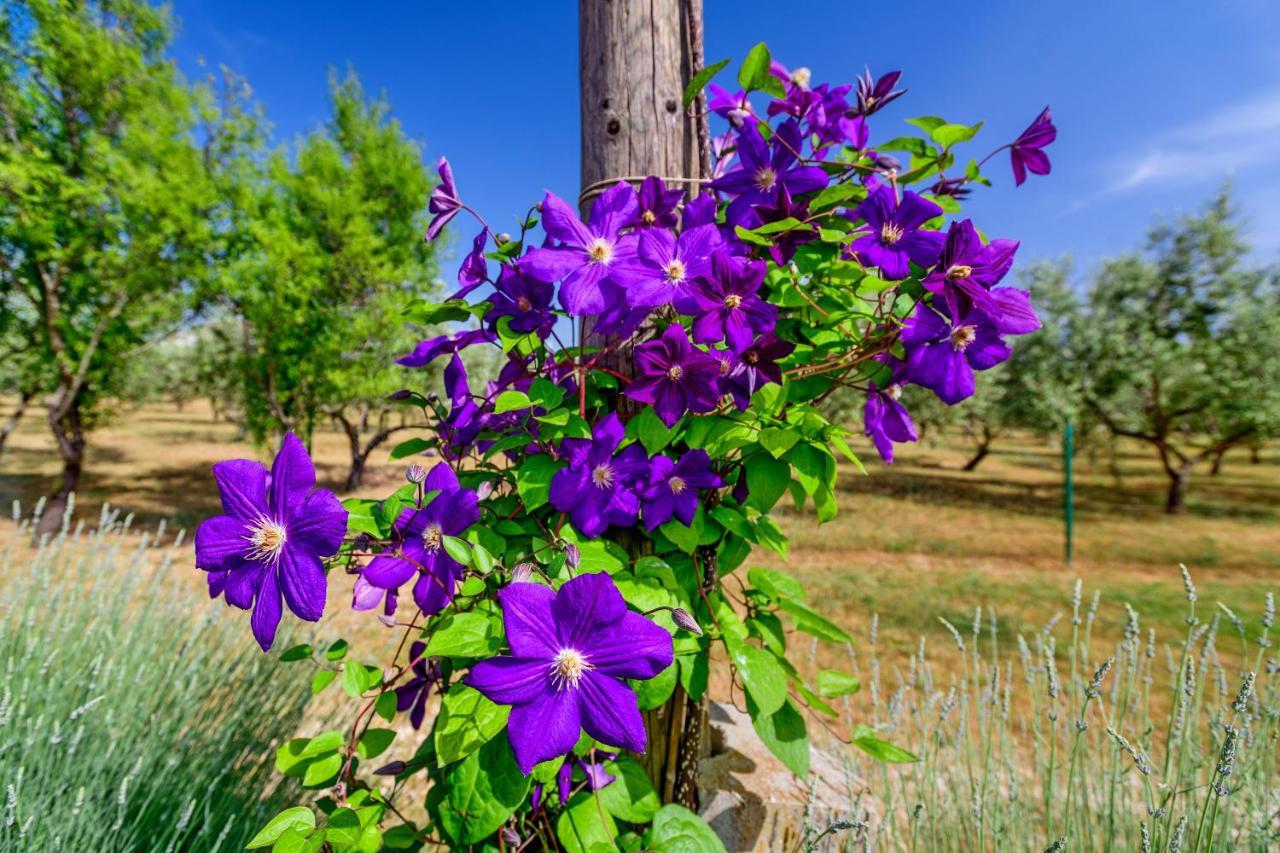 Sunny House Villa Smokovic ภายนอก รูปภาพ