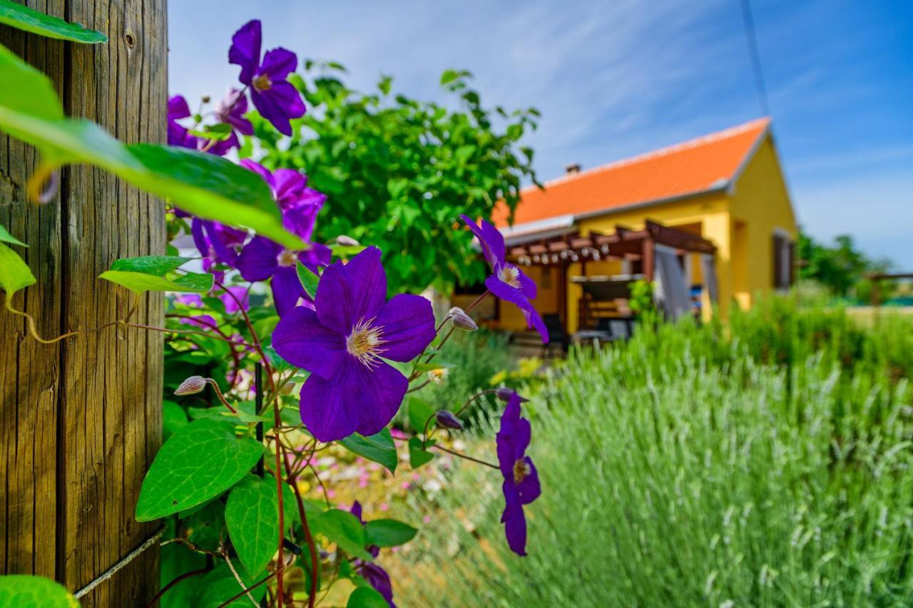 Sunny House Villa Smokovic ภายนอก รูปภาพ