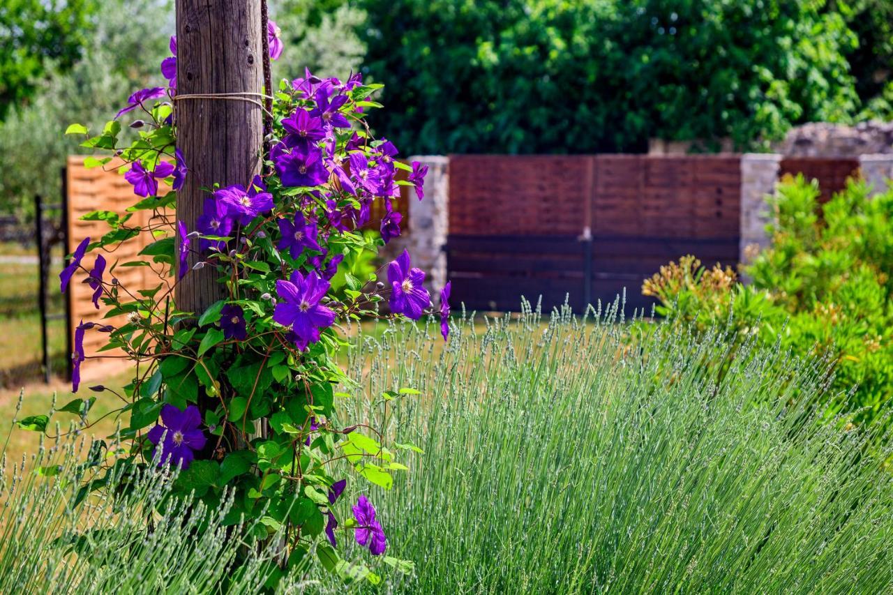 Sunny House Villa Smokovic ภายนอก รูปภาพ