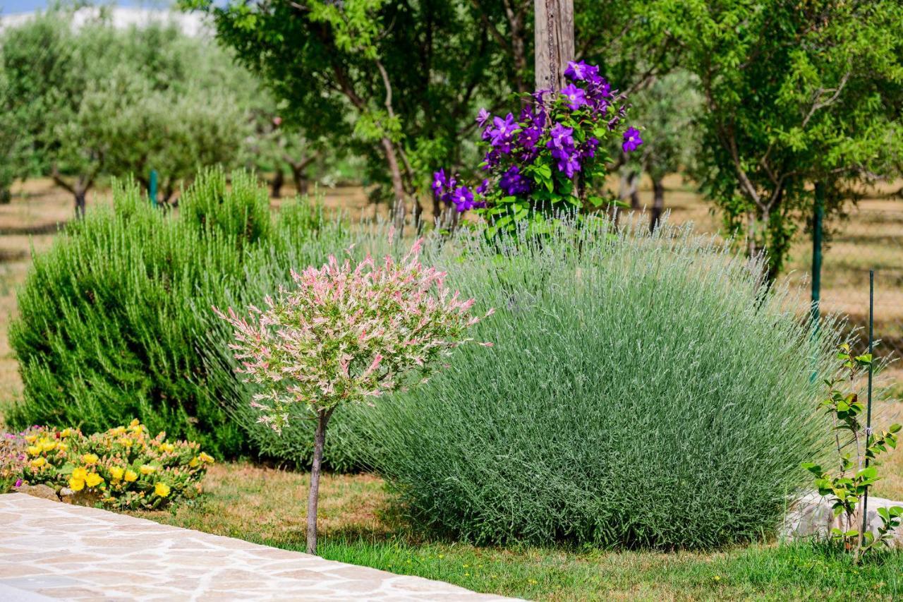 Sunny House Villa Smokovic ภายนอก รูปภาพ