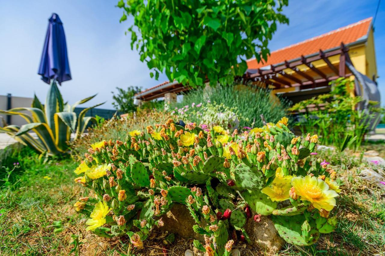 Sunny House Villa Smokovic ภายนอก รูปภาพ
